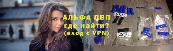амф Верея