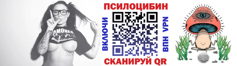 Псилоцибиновые грибы прущие грибы  Верея 
